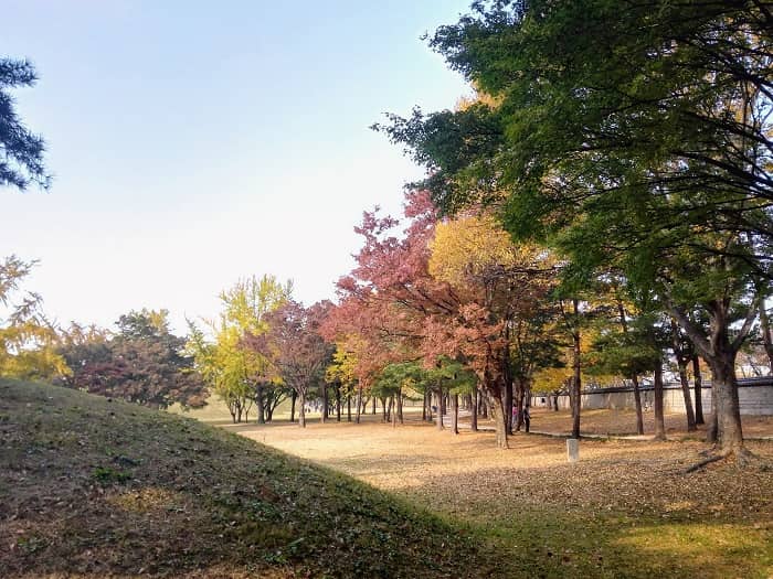 韓国慶州(キョンジュ)大陵苑(テヌンウォン)古墳公園