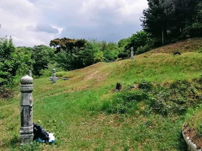 韓国伝統的な山の斜面につくられたお墓