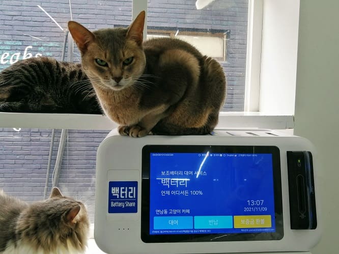 INI（アイエヌアイ）のホンデ猫カフェ携帯充電器