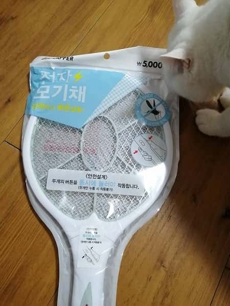 韓国の蚊コバエ対策
